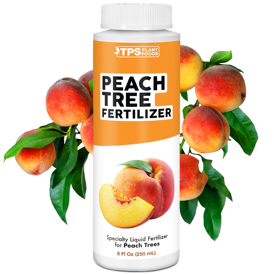 Peach Tree Fertilizer