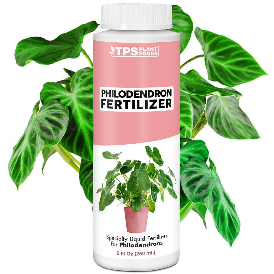 Philodendron Fertilizer