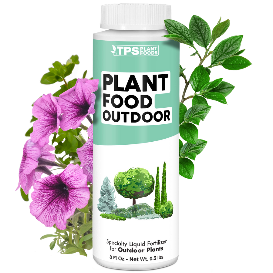 Plant Food Outdoor