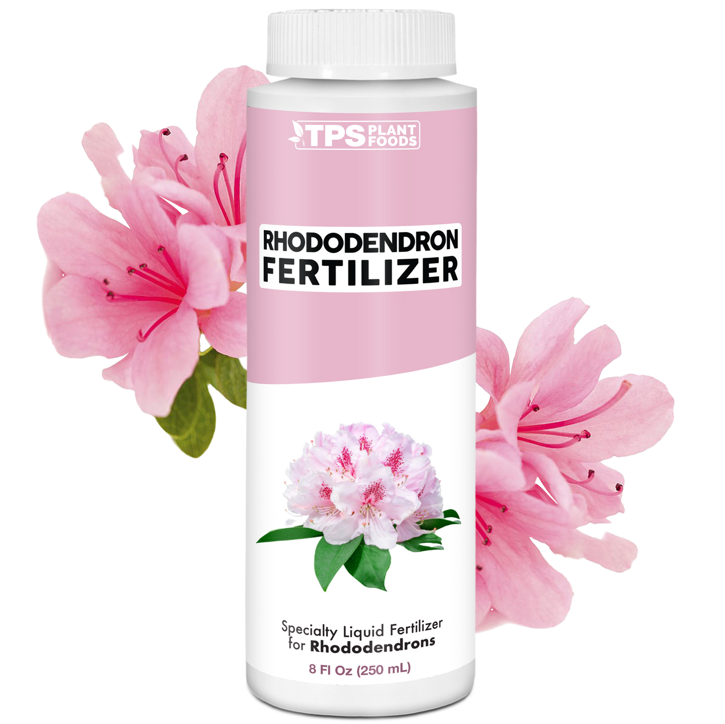 Rhododendron Fertilizer