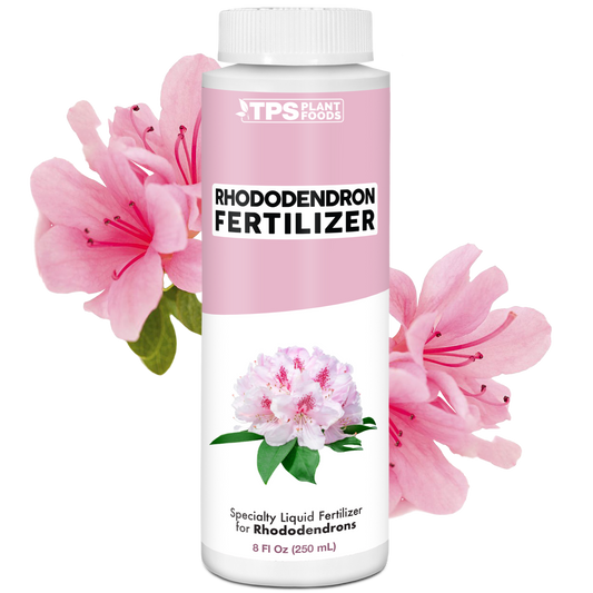 Rhododendron Fertilizer