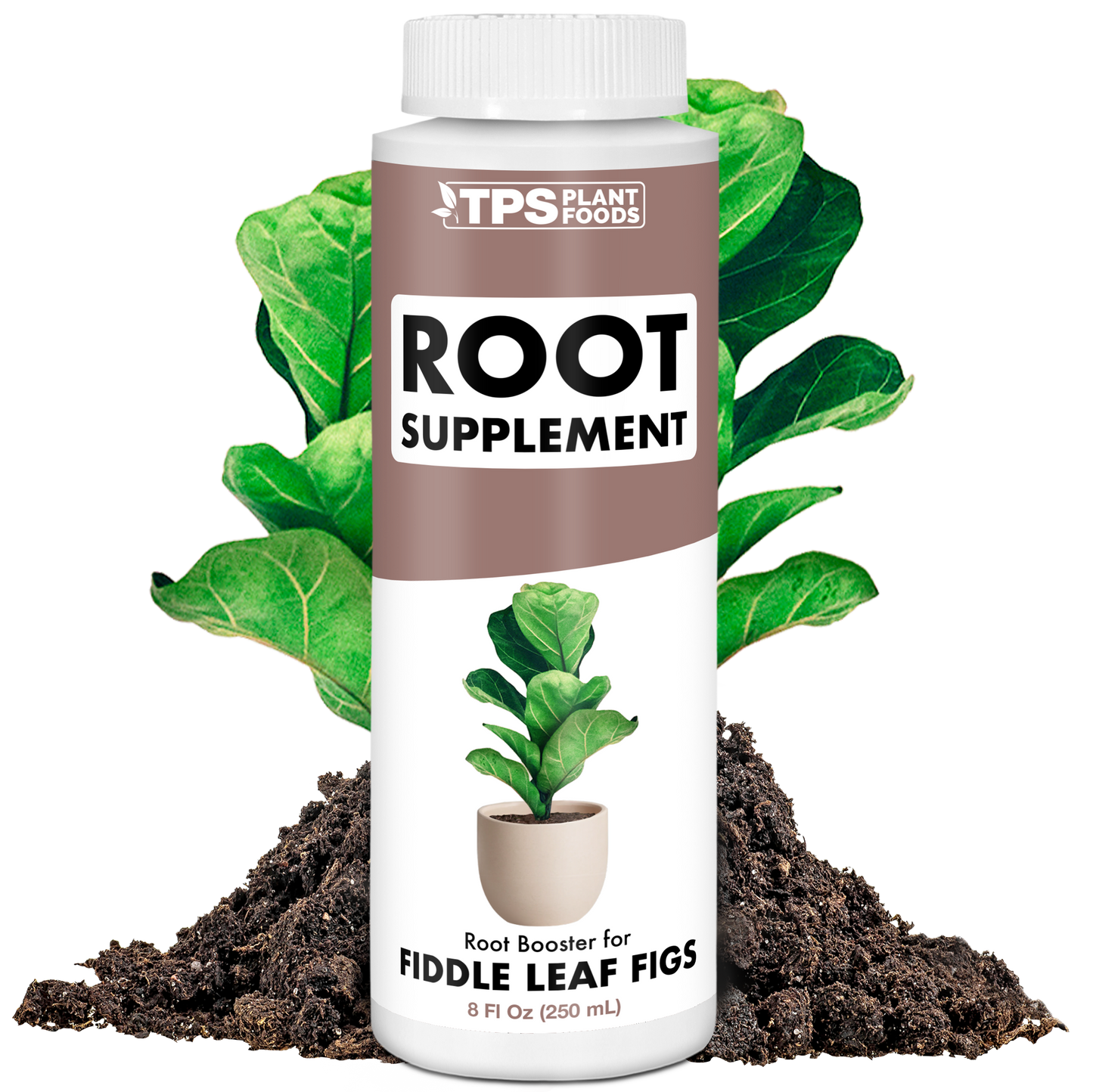 Fig Root Supplement