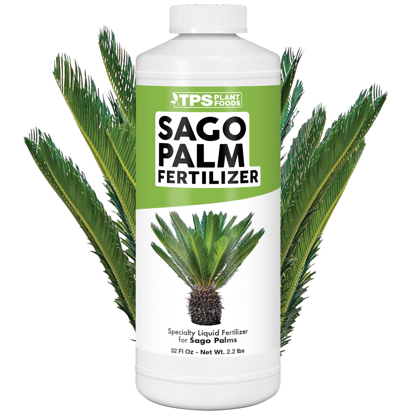Sago Palm Fertilizer