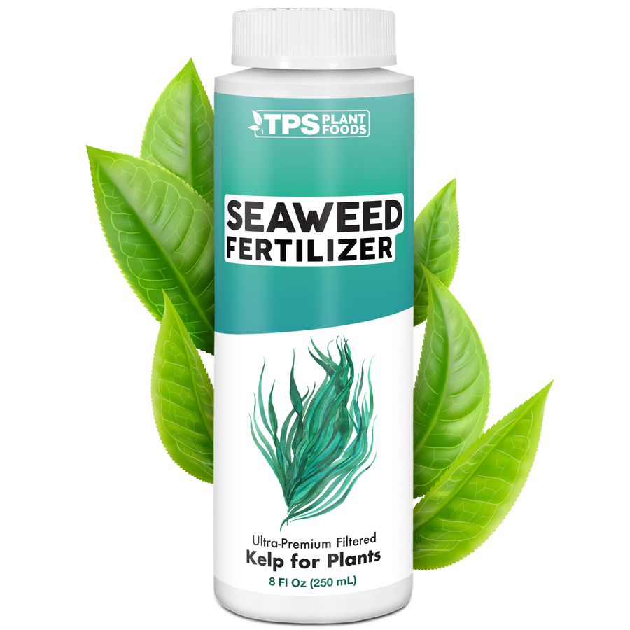 Seaweed Fertilizer