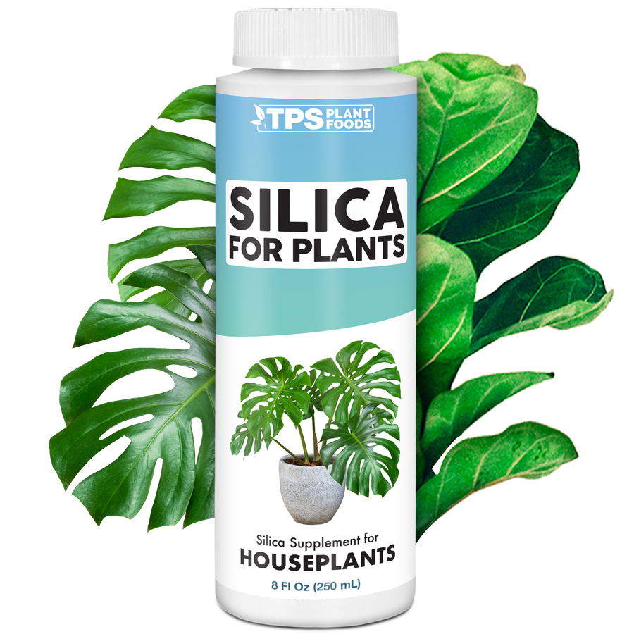 Silica for Plants