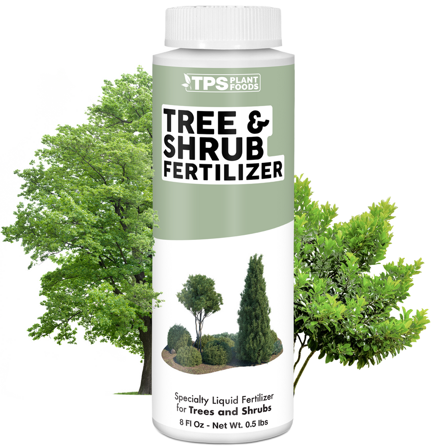 Tree And Shrub Fertilizer