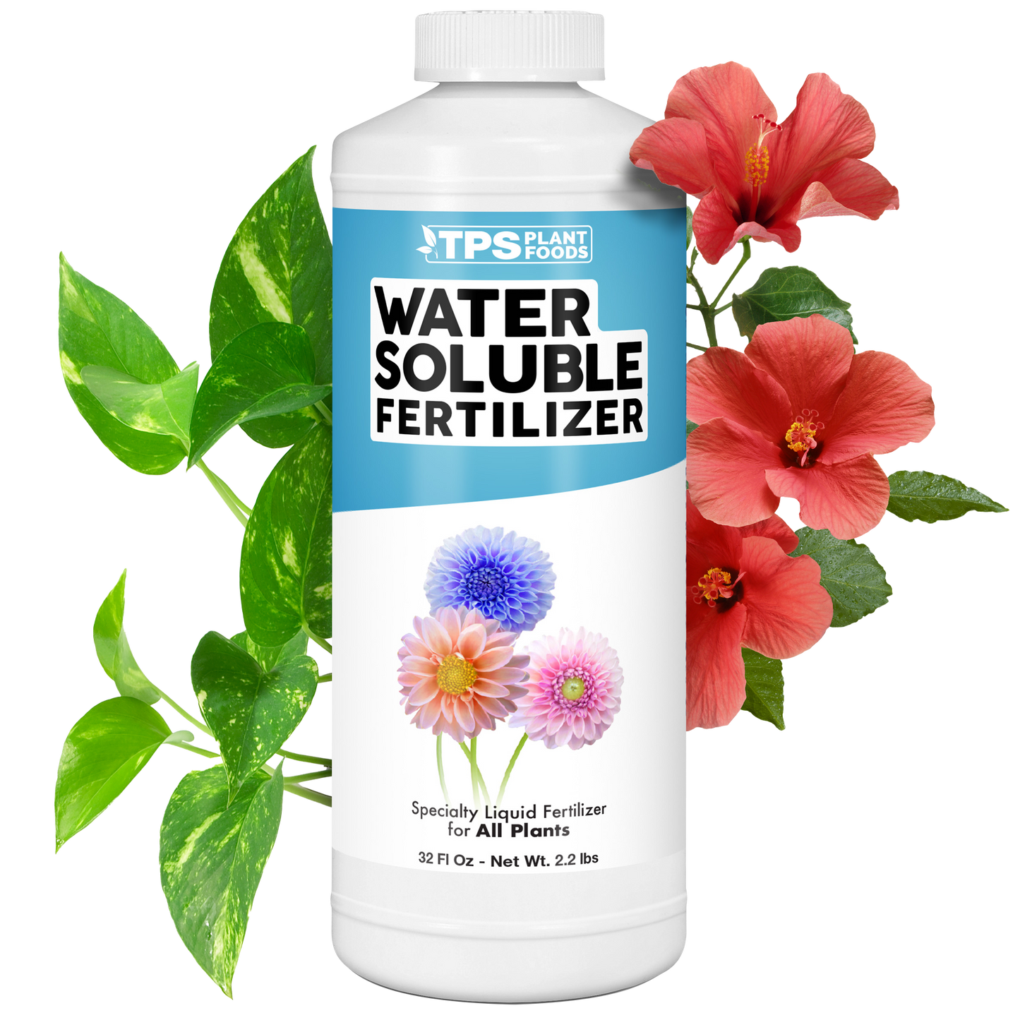 Water Soluble Fertilizer
