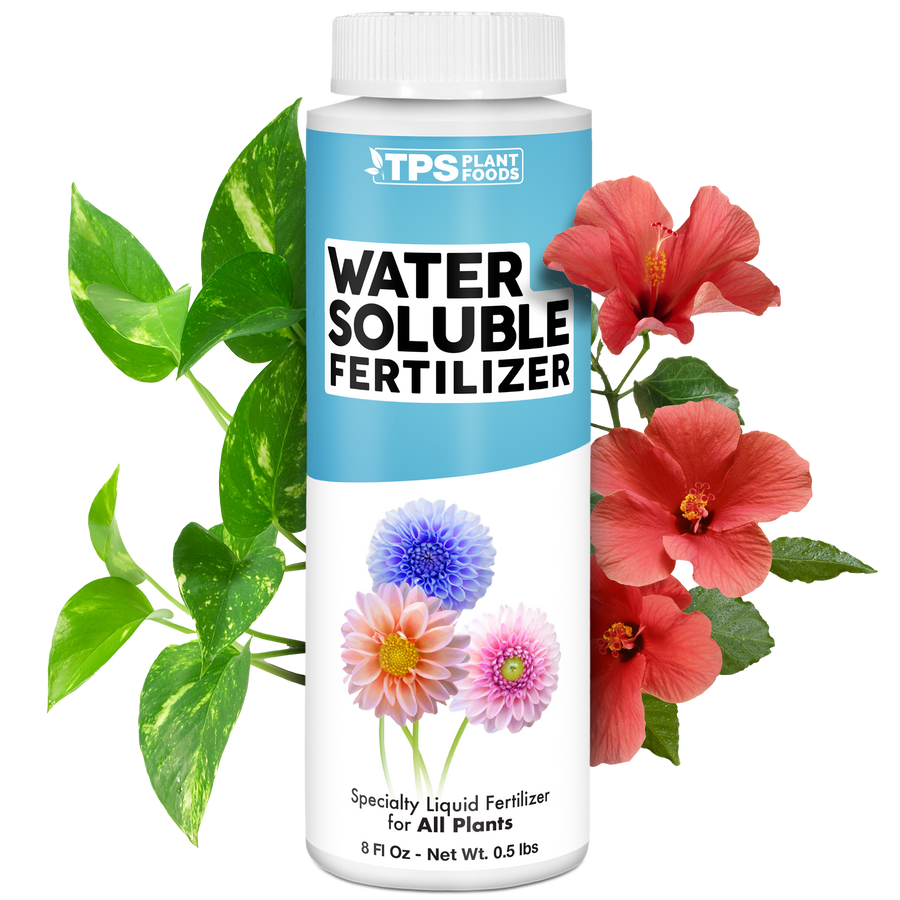 Water Soluble Fertilizer