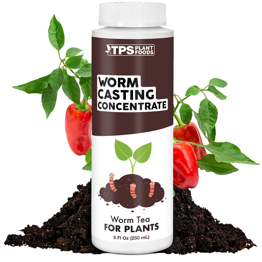 Worm Castings Concentrate