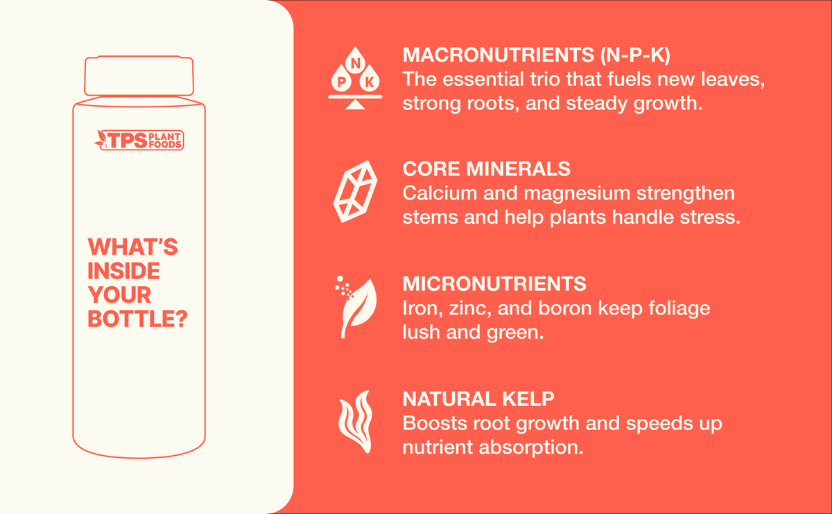 aplus-lemon-fertilizer.png