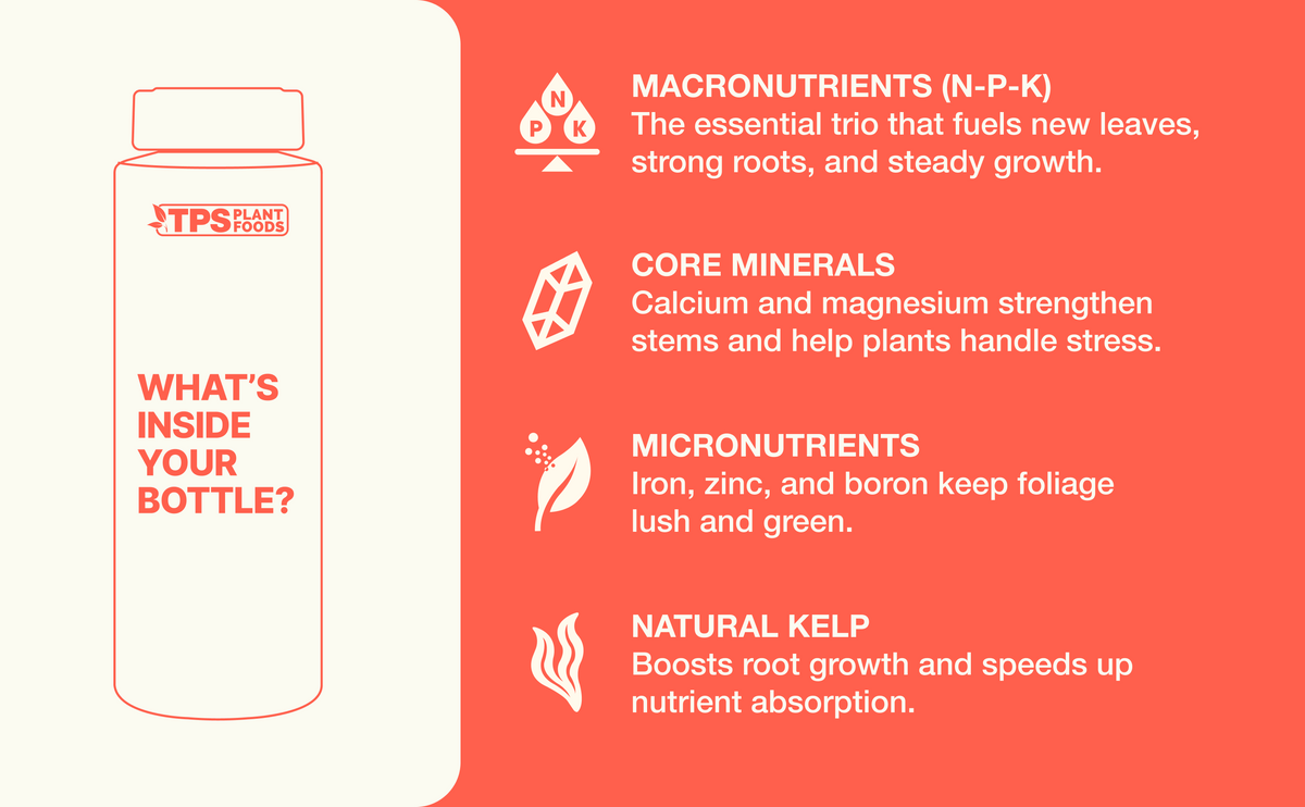 aplus-lilac-bush-fertilizer.png