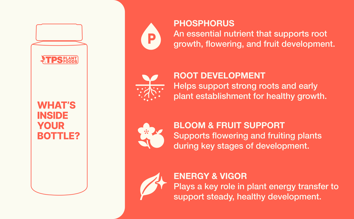 aplus-phosphorus-fertilizer.png