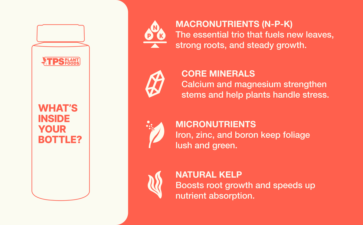 aplus-tree-fertilizer.png