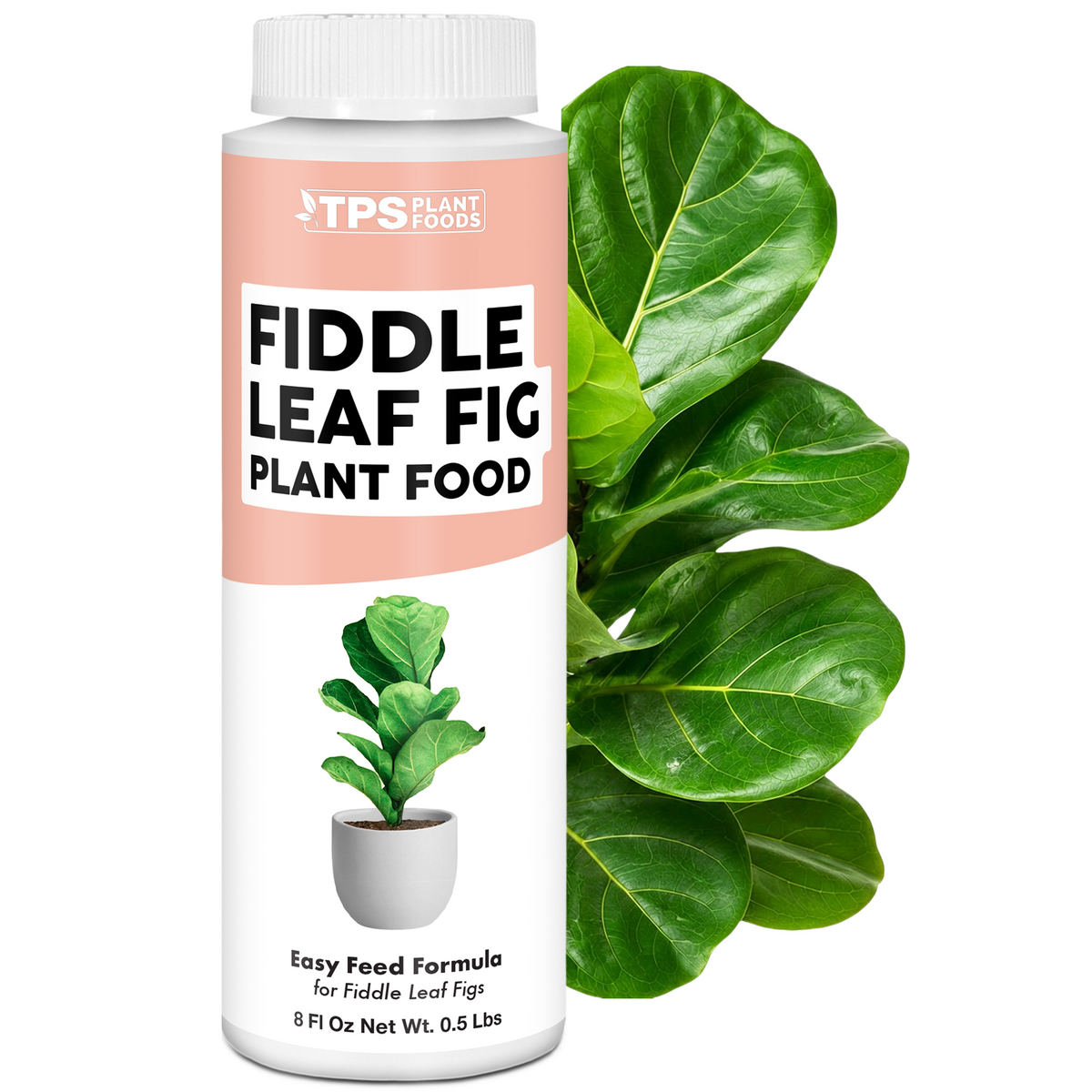 Fiddle Leaf Fig Plant Food — 8 Ounce