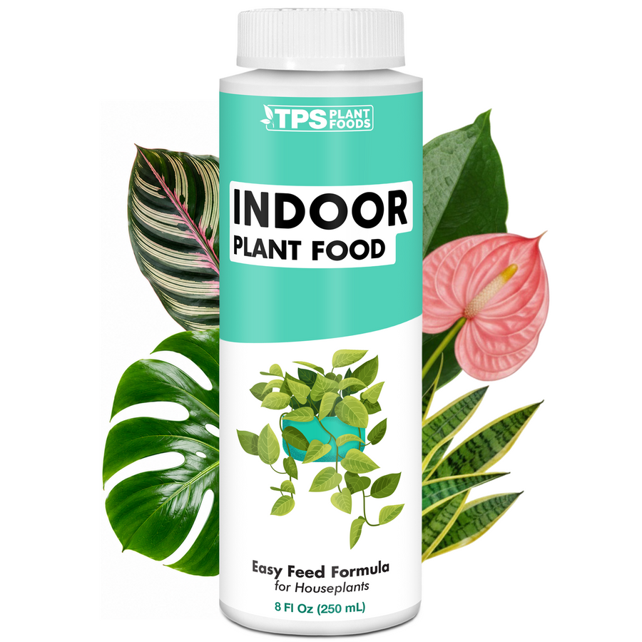 Indoor Plant Food