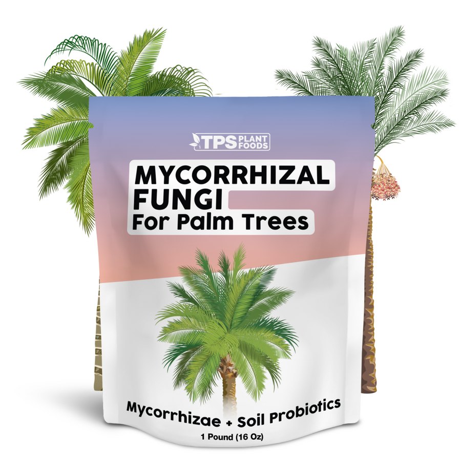 Mycorrhizal Fungi for Palm Trees