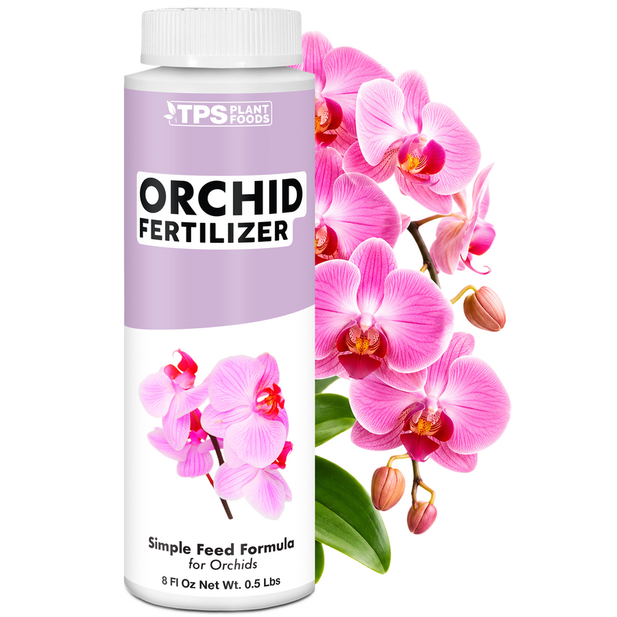 Orchid Plant Food