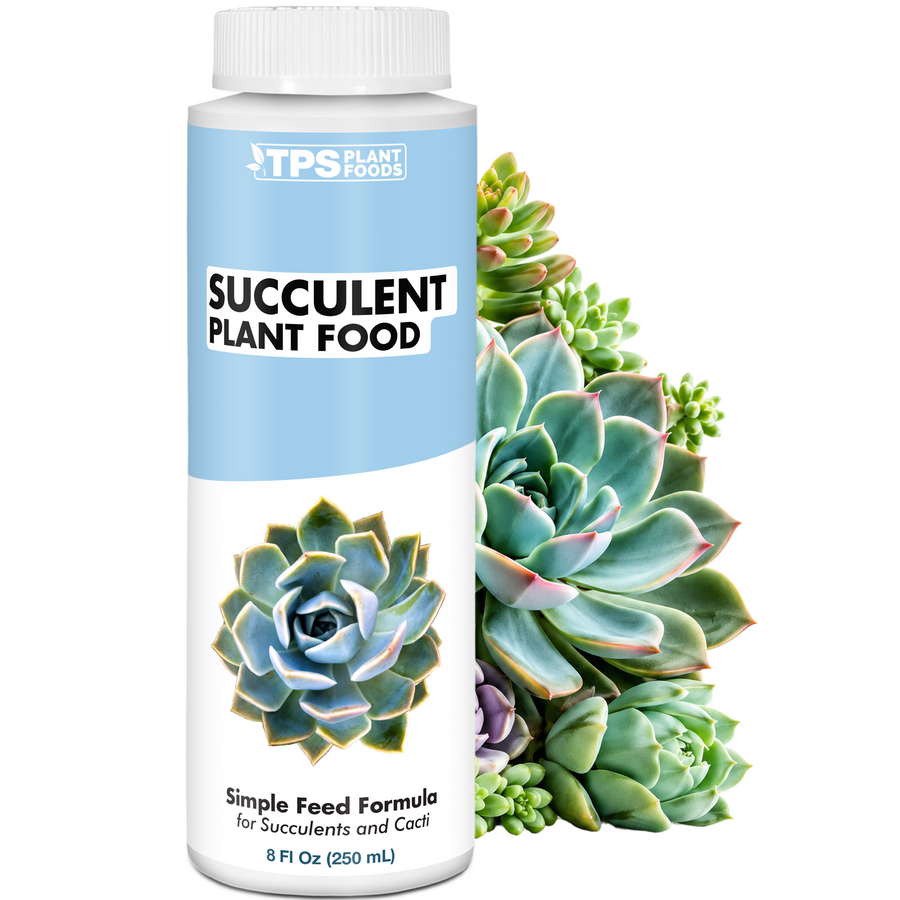 Succulent Plant Food