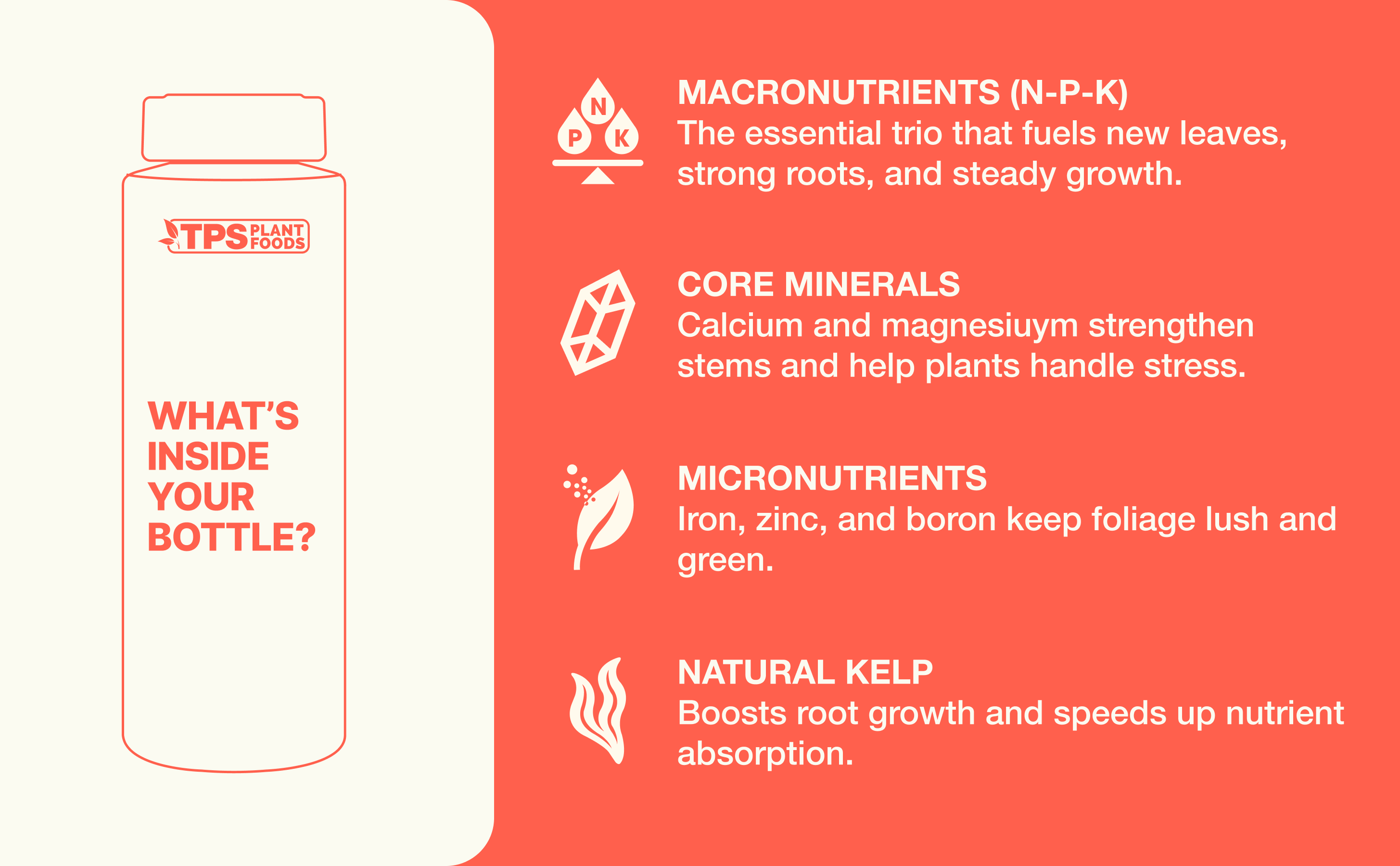 What's inside your bottle — macronutrients, core minerals, micronutrients, and natural kelp