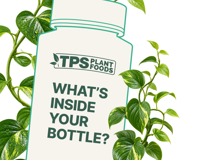 What's Inside Your Bottle?
